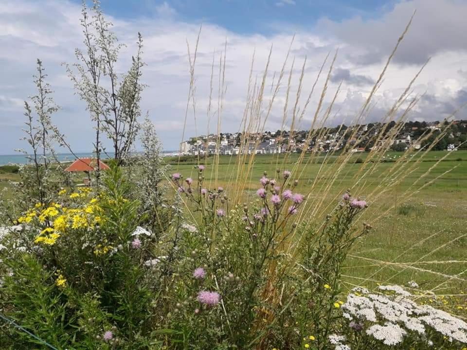 Maison Entiere La Longe'Yeres Saint-Martin-le-Gaillard Luaran gambar
